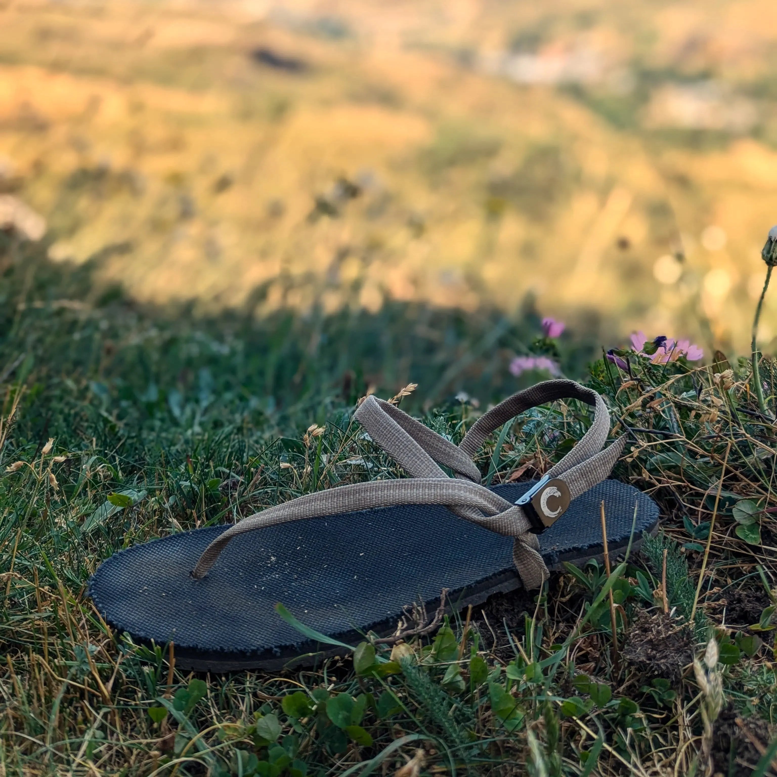 ZuZu Flex - ZuZu Barefoot