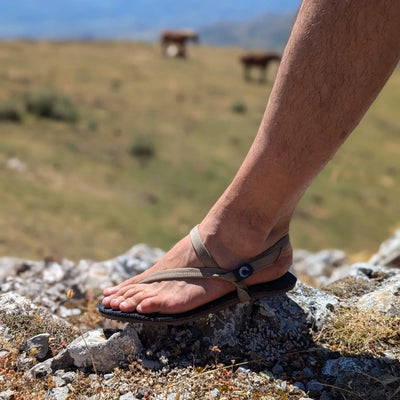 Desert straps zuzusandals