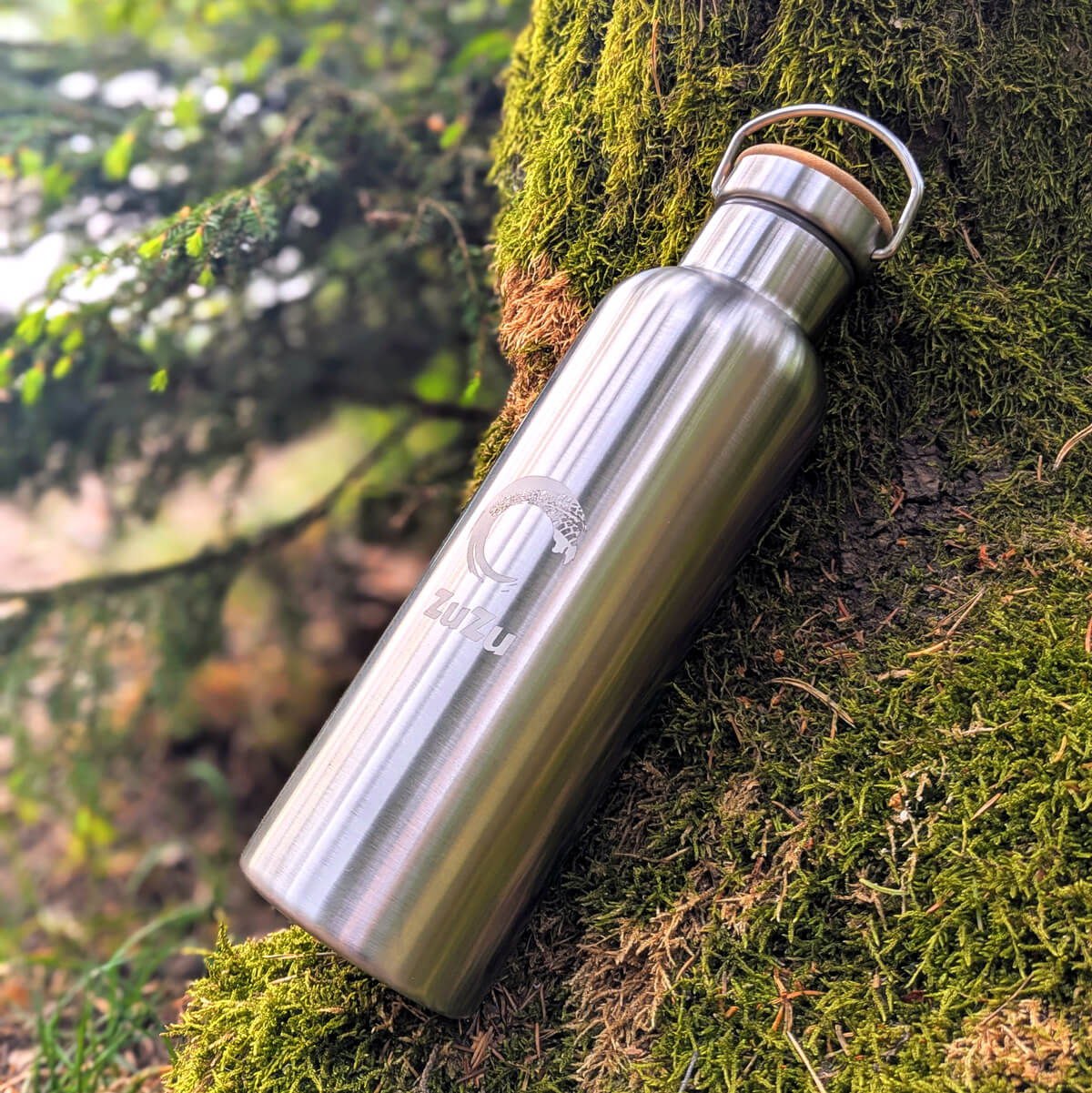 Insulated Stainless Steel Bottle