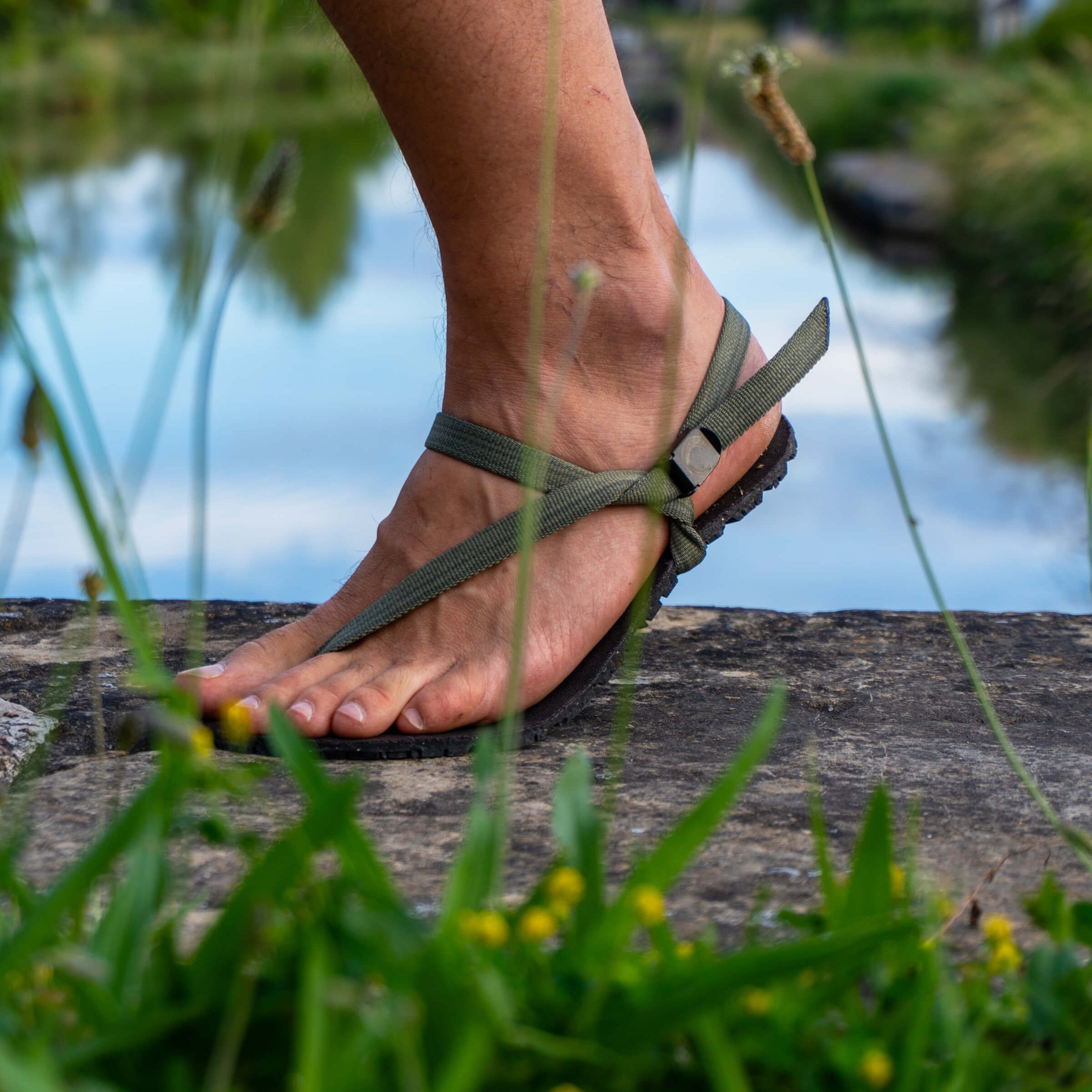 Sage straps